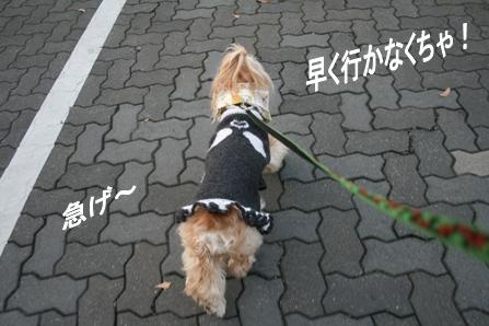 c0128303_201451.jpg