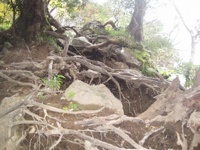 e0183804_3354432.jpg