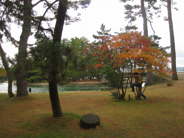 e0183804_5144577.jpg