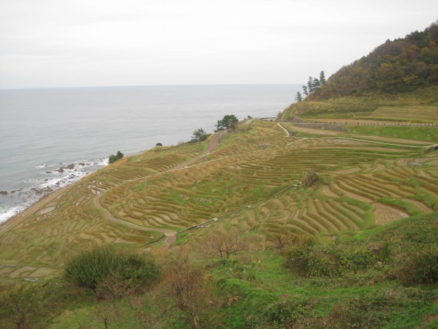 e0183804_653588.jpg