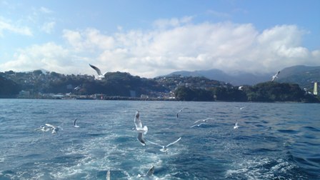 b0079206_2385710.jpg