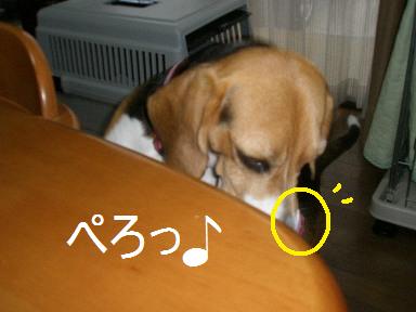 c0205806_17431188.jpg