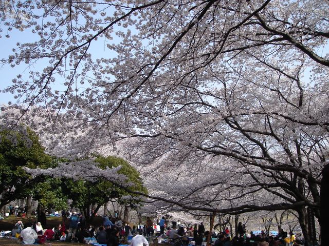 f0084806_9414762.jpg