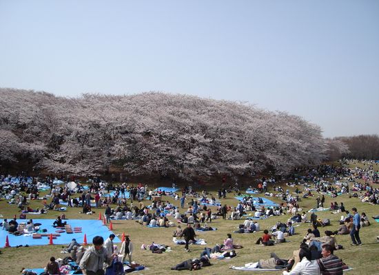 f0084806_9453789.jpg