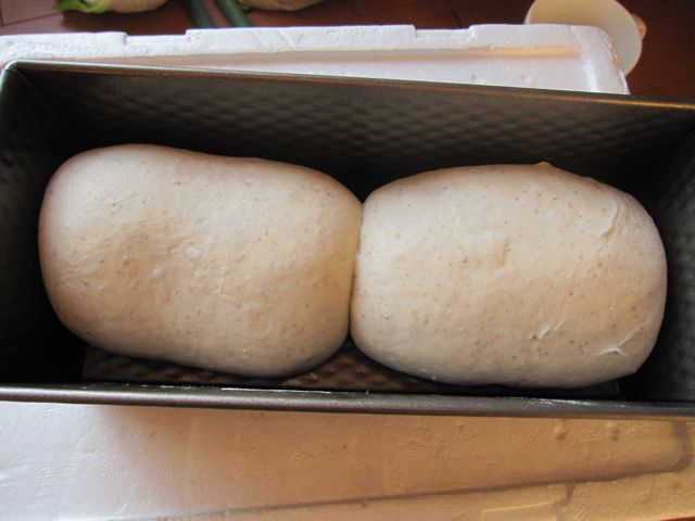 f0159406_131288.jpg