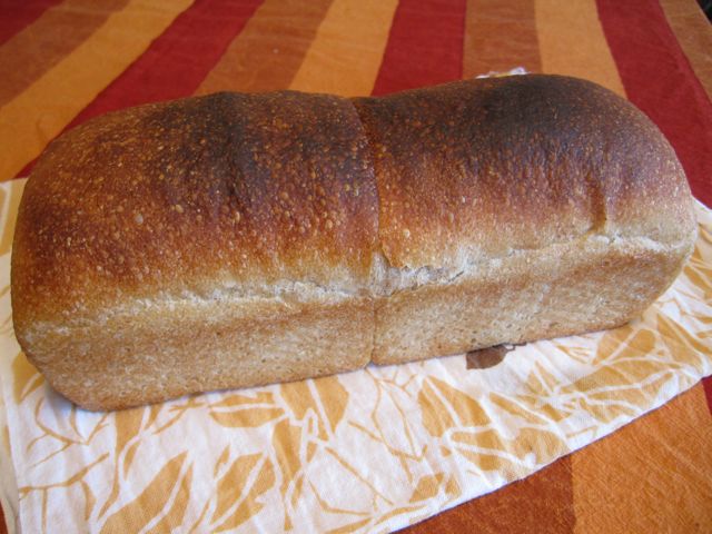f0159406_131465.jpg