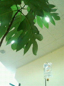 f0127408_22103057.jpg