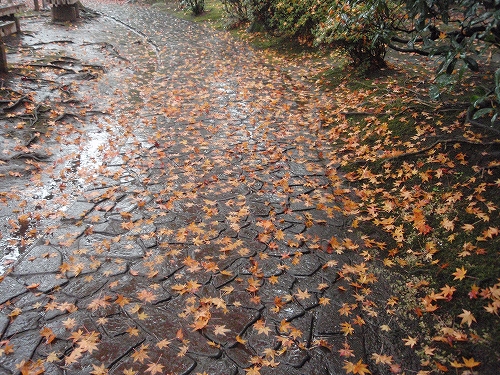 e0121110_2262321.jpg