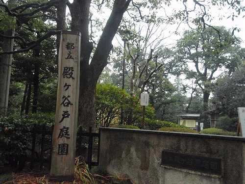 e0121110_226324.jpg