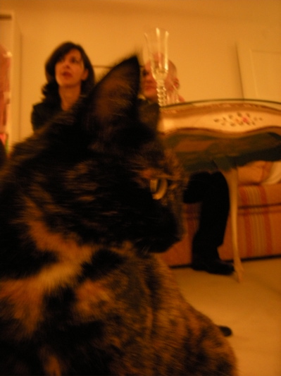 c0167813_8231076.jpg