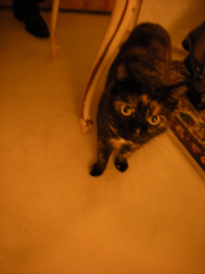 c0167813_8343047.jpg