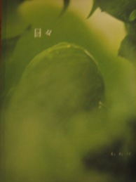 c0133118_2221579.jpg