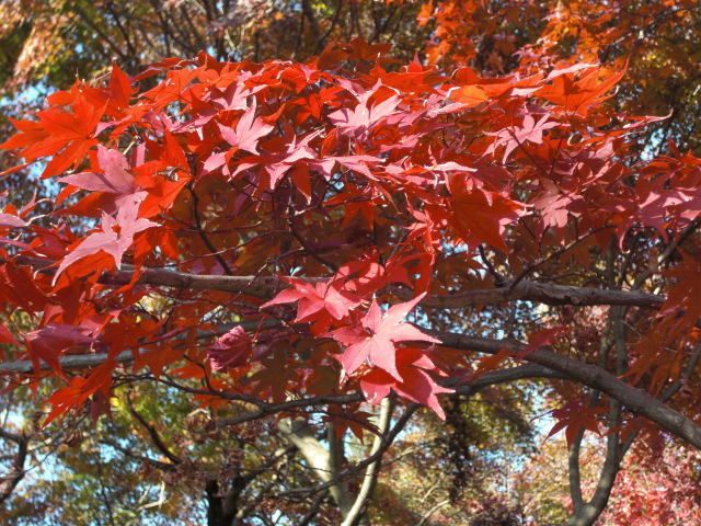 c0089719_2262880.jpg