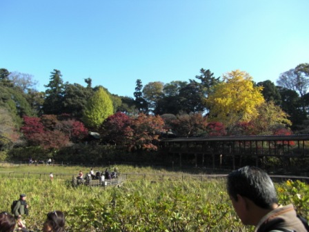 c0089719_2273849.jpg