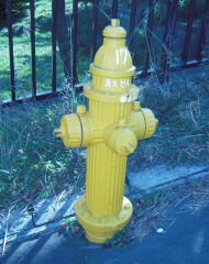 d0068023_0325348.jpg