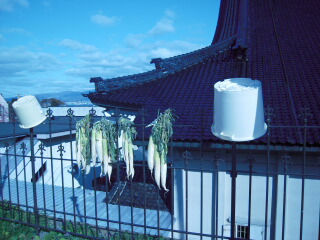 d0068023_0332281.jpg