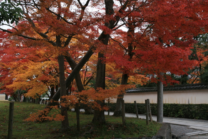 b0132924_2043991.jpg