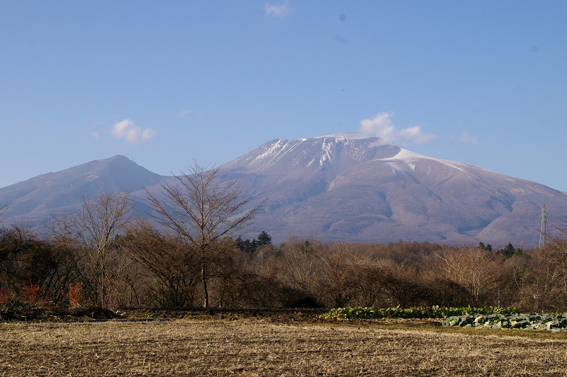 e0136424_1454226.jpg