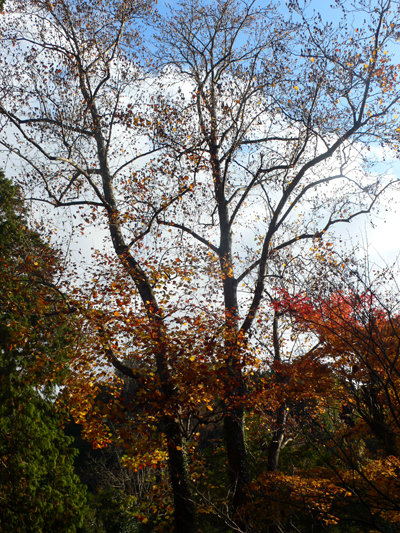 f0060424_2158385.jpg
