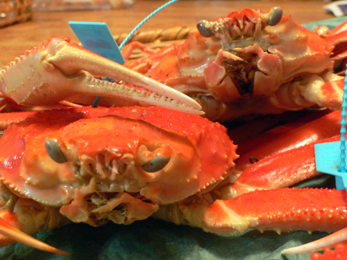 f0060424_2254910.jpg