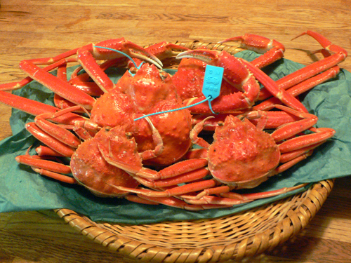 f0060424_2256100.jpg