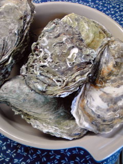 c0059529_19322559.jpg