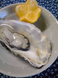c0059529_1933329.jpg