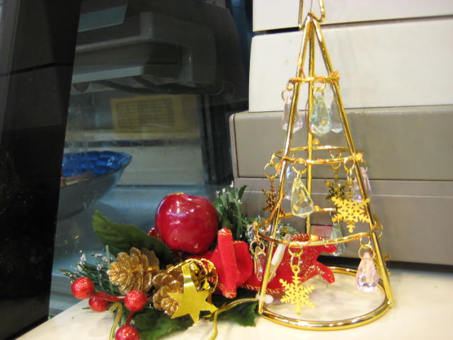 e0166032_20352344.jpg