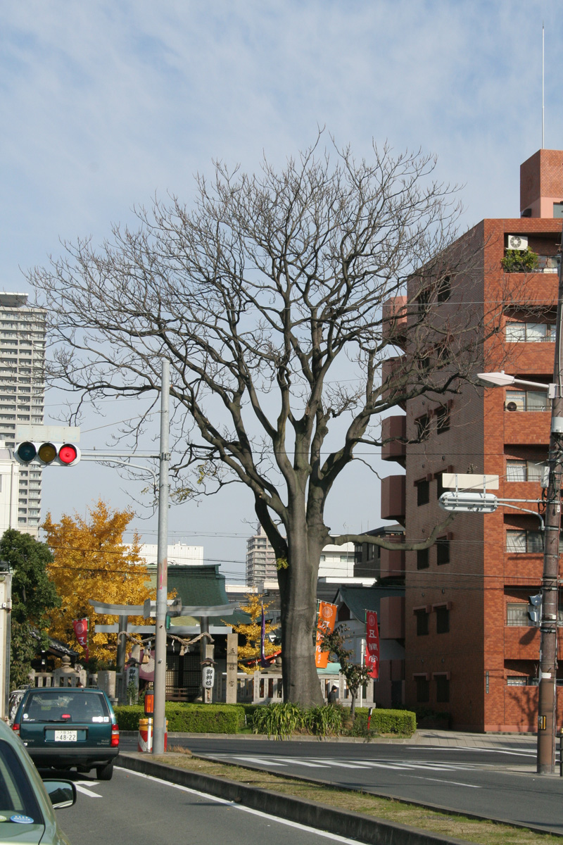 c0073633_1254391.jpg
