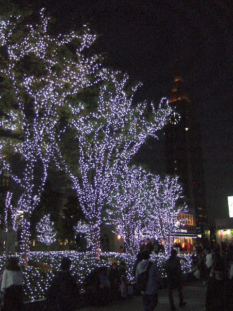 e0064133_0163110.jpg