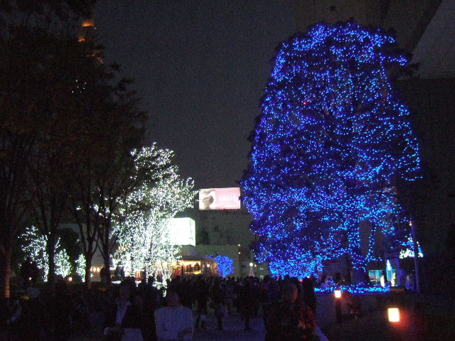 e0064133_016985.jpg