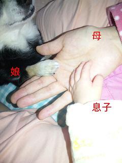 c0121141_13151567.jpg