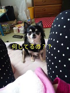 c0121141_13452071.jpg