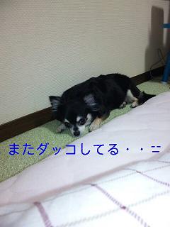 c0121141_13481271.jpg