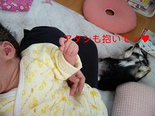 c0121141_1354456.jpg