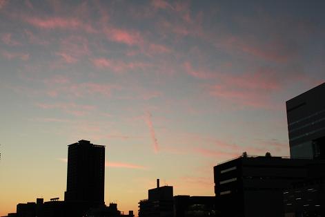 f0176941_2328288.jpg