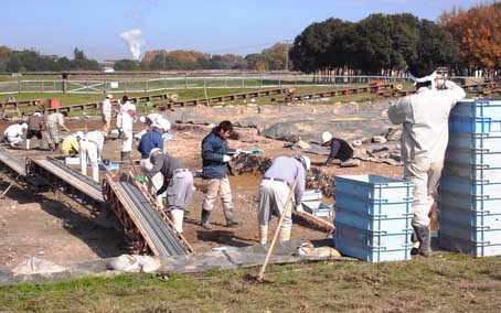 a0100742_8243794.jpg