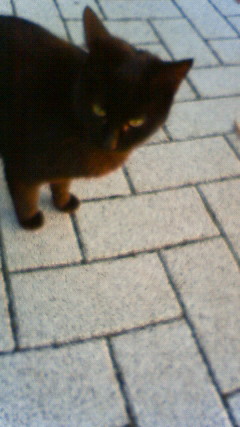 c0194042_21344037.jpg
