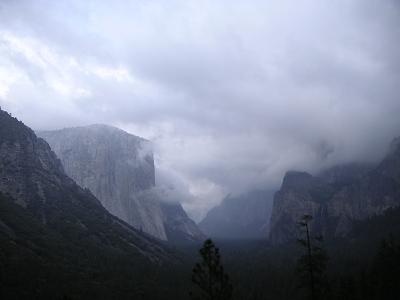 b0001044_641551.jpg