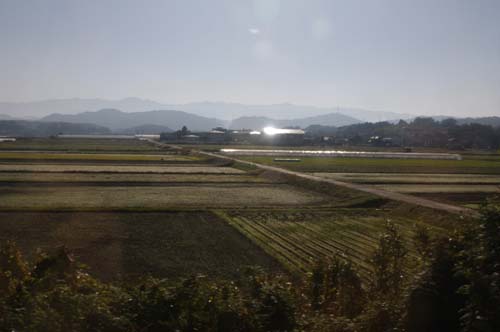 e0187146_15381633.jpg