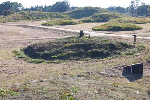 e0187146_1540247.jpg