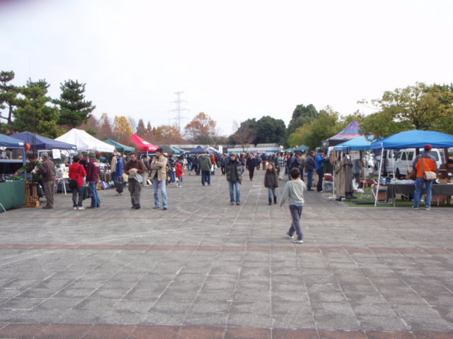 f0168947_20395622.jpg