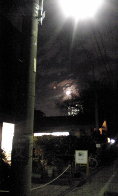f0178047_435630.jpg