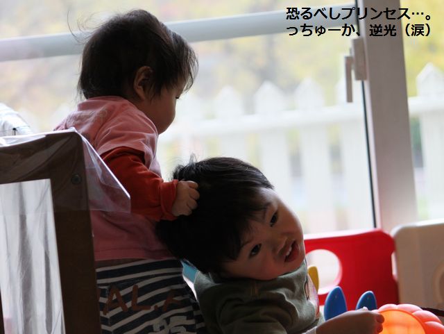 a0090451_042580.jpg