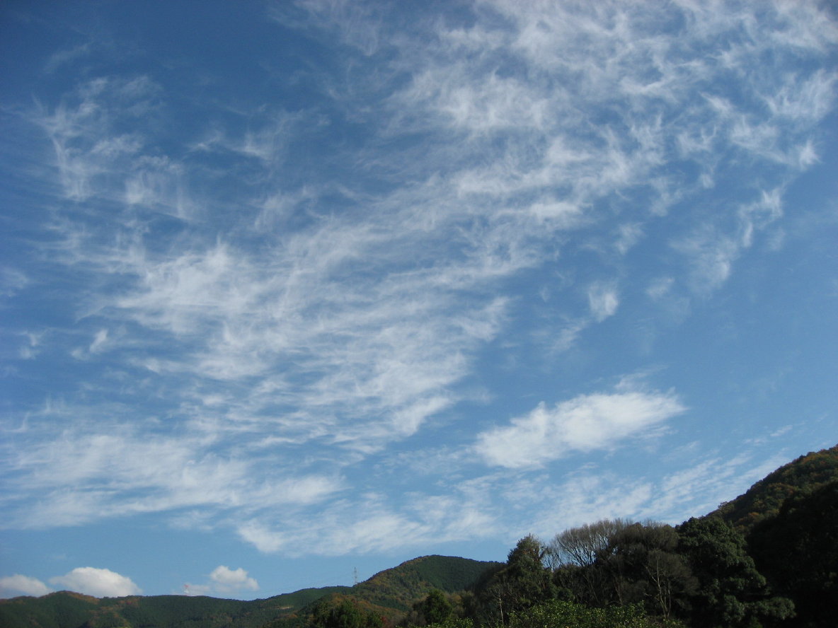 f0089352_12454958.jpg