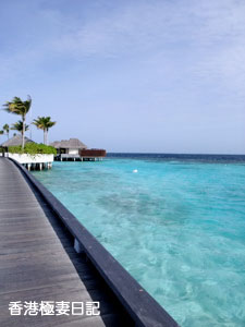 f0190653_951013.jpg