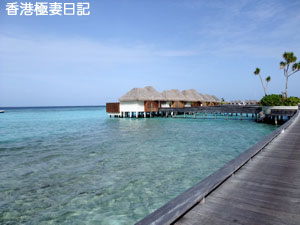 f0190653_952271.jpg