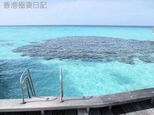 f0190653_953430.jpg