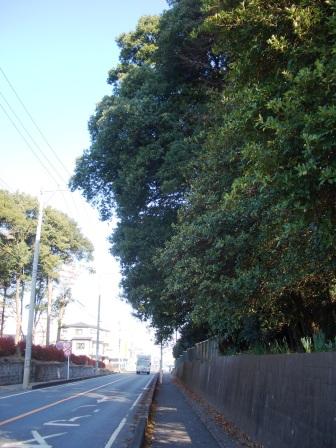 e0110055_18593974.jpg