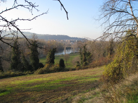 f0077159_6262745.jpg